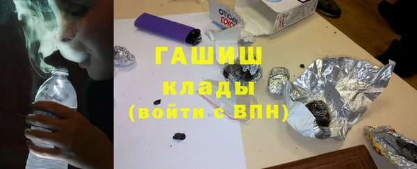 прущие грибы Наволоки
